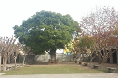 20190517_125645